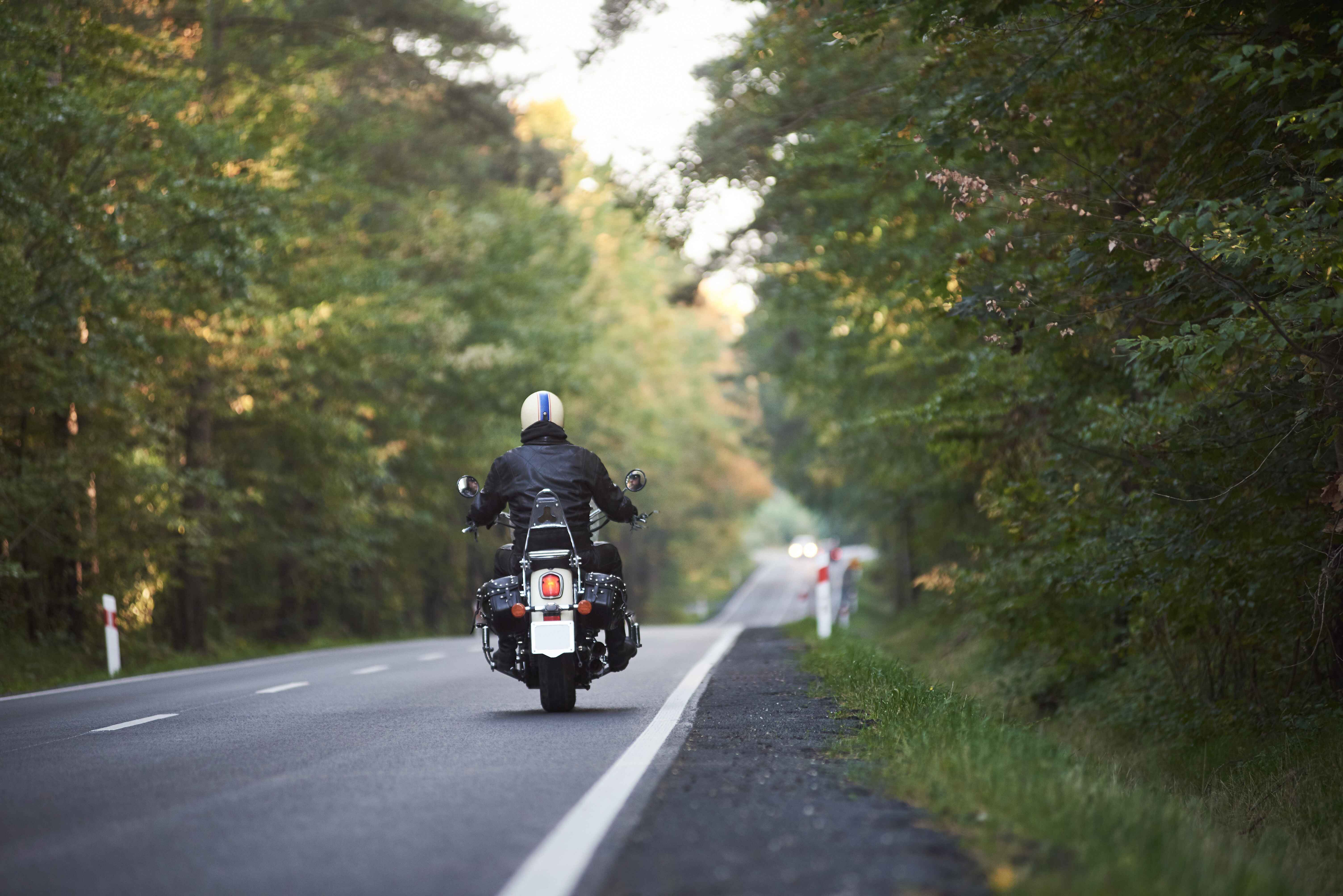 A motorcyclist rides through a forested road, wearing a black jacket and helmet.