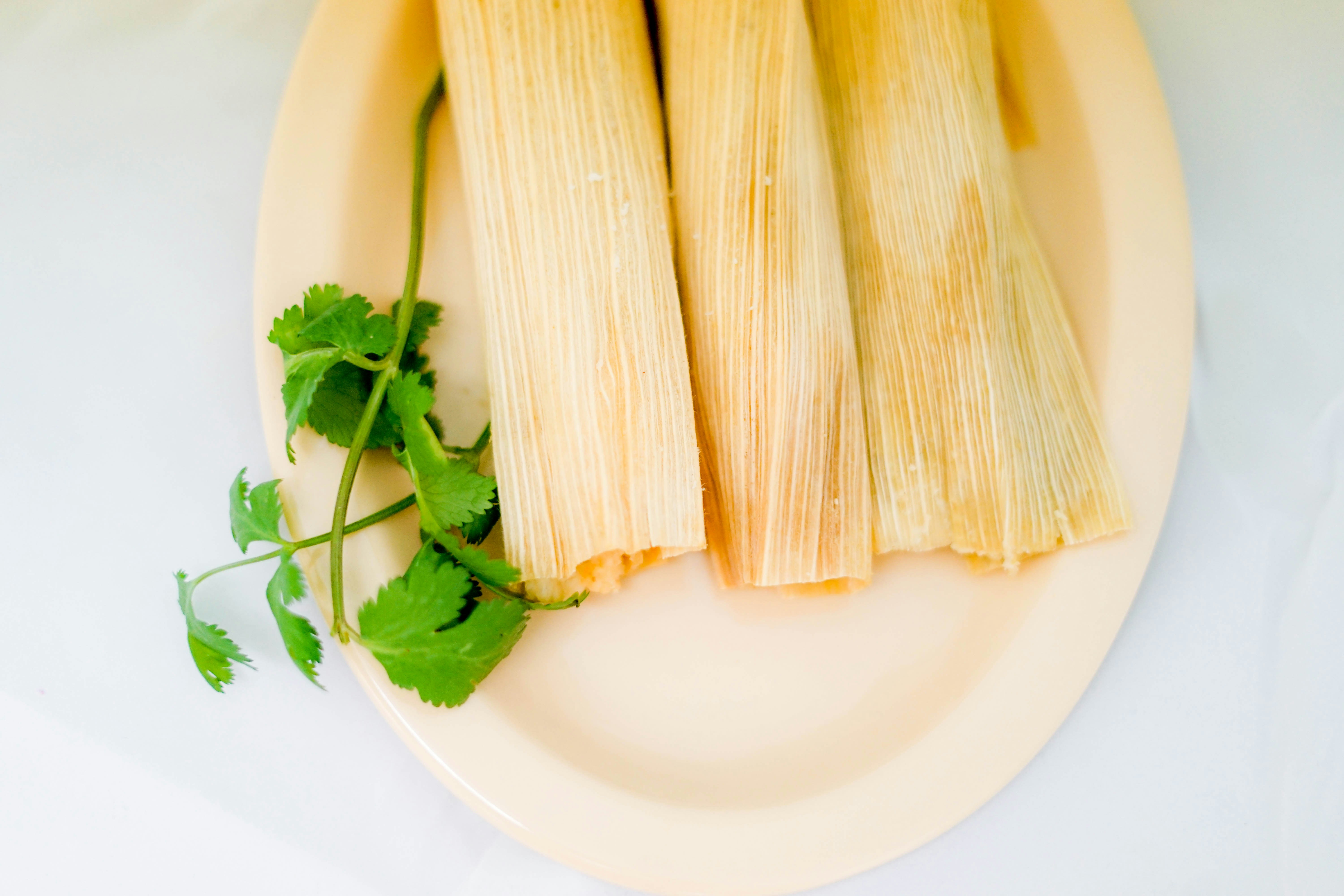 Three tamales wrapped in corn husks on an oval plate with cilantro garnish.